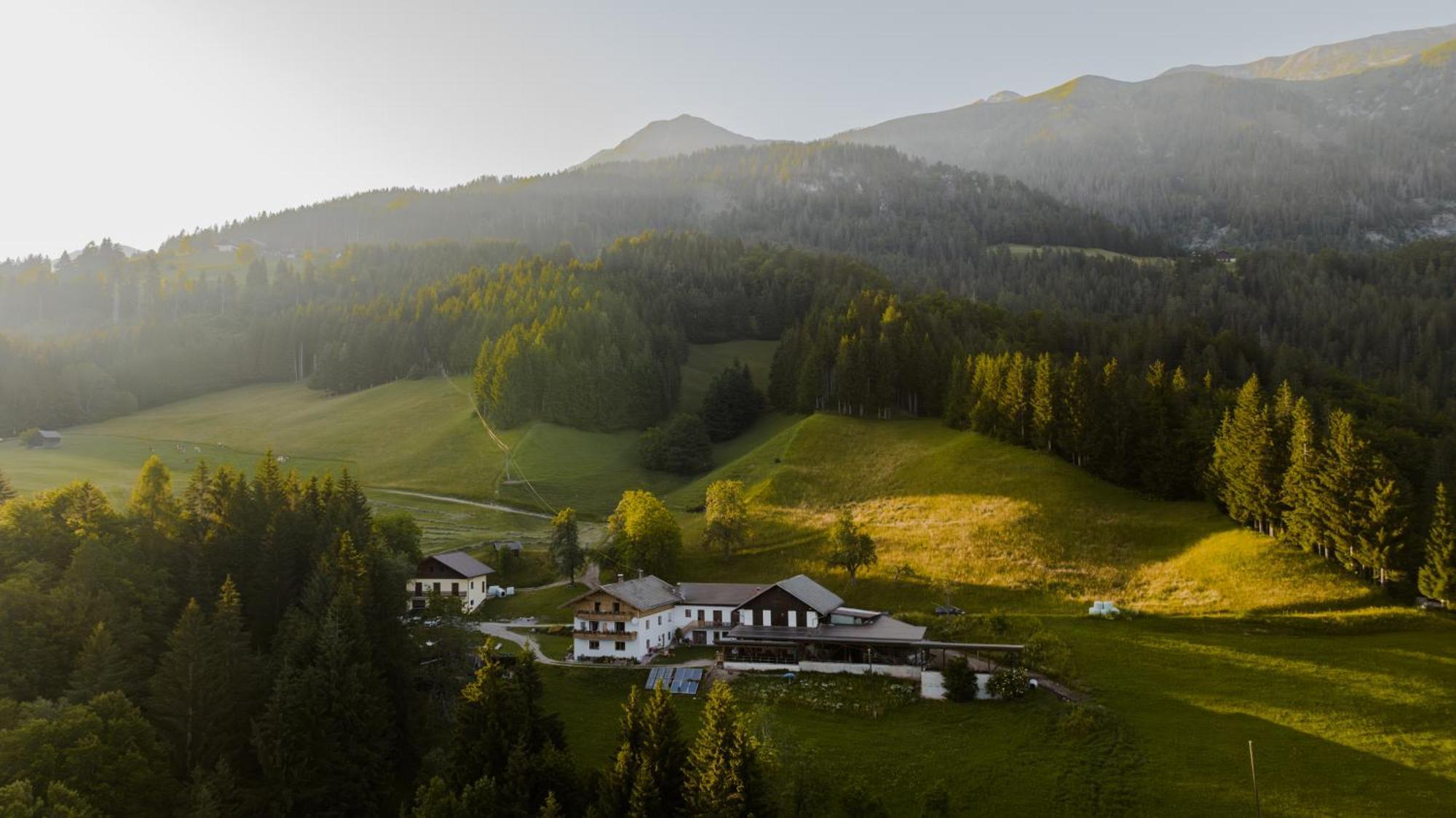Bio-Bergbauernhof Weger Apartment Dellach  Exterior photo