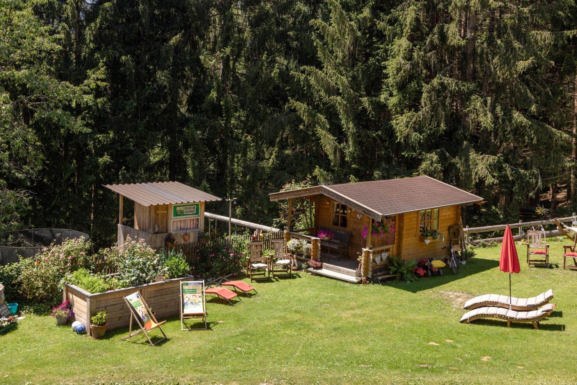 Bio-Bergbauernhof Weger Apartment Dellach  Exterior photo